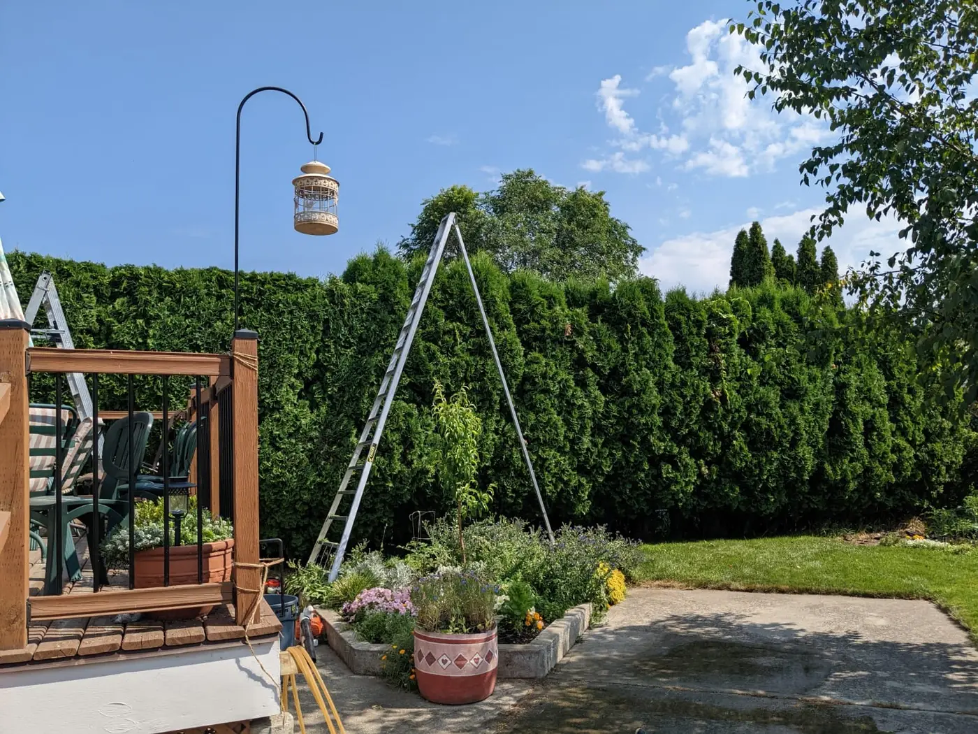 KingTek crew removing a large tree from a Kelowna backyard