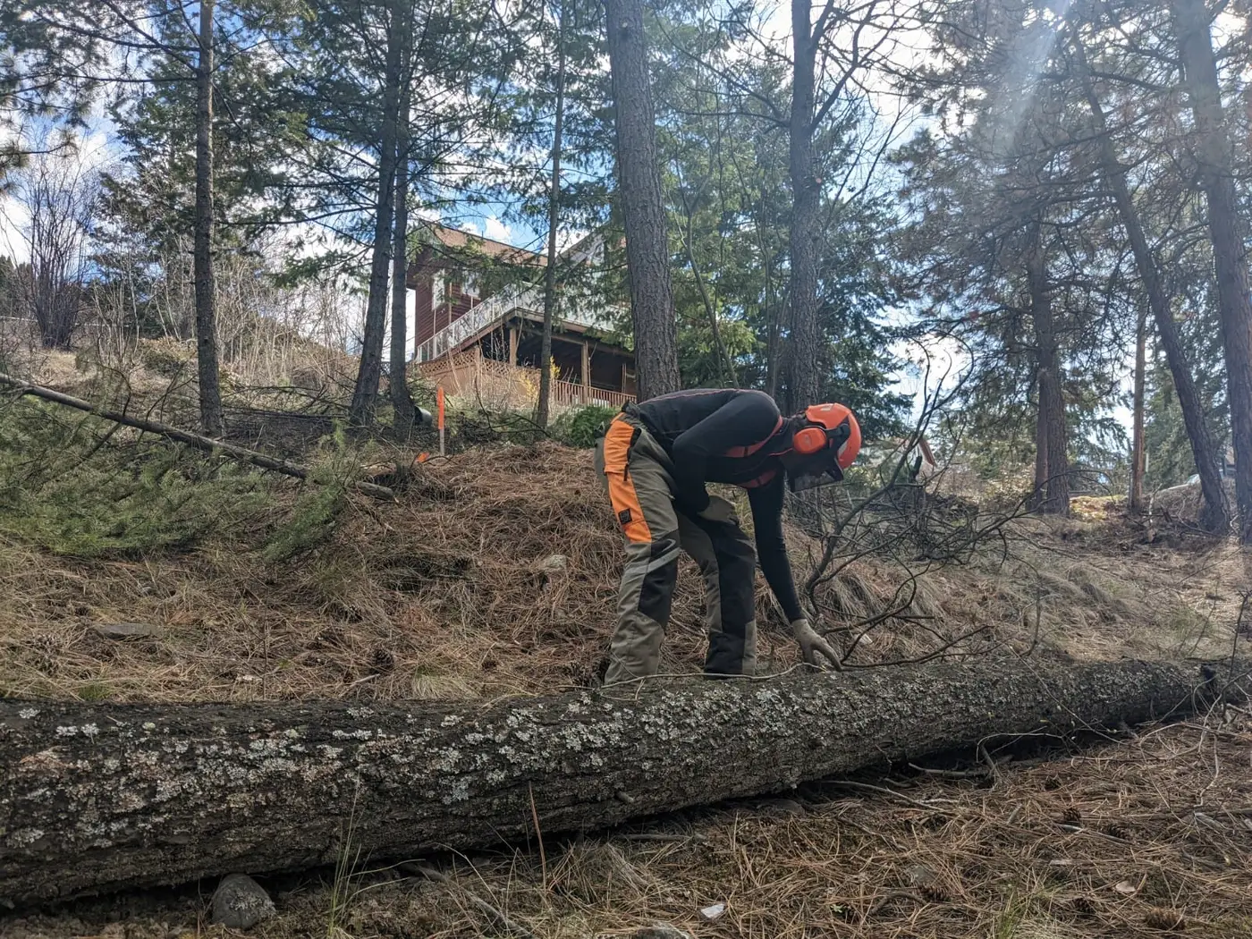 Land and lot clearing job on an Okanagan hillside property