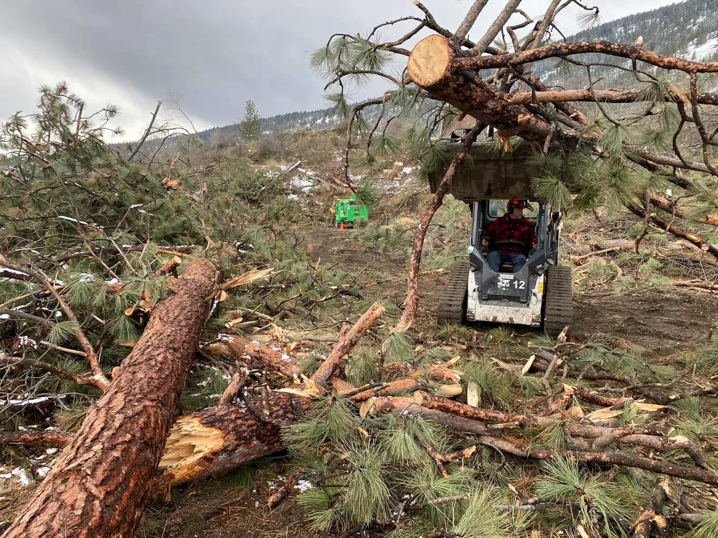 Debris and brush cleanup after a land clearing job in the Okanagan